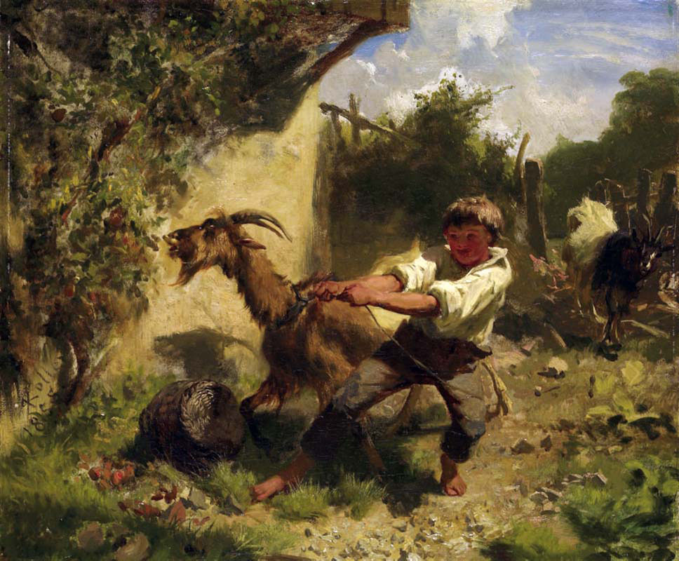 boy with goat in landscape